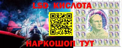 мяу мяу мука Краснокаменск