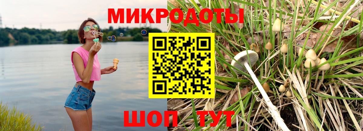 Галлюциногенные грибы GOLDEN TEACHER  Вход с VPN  Котлас 