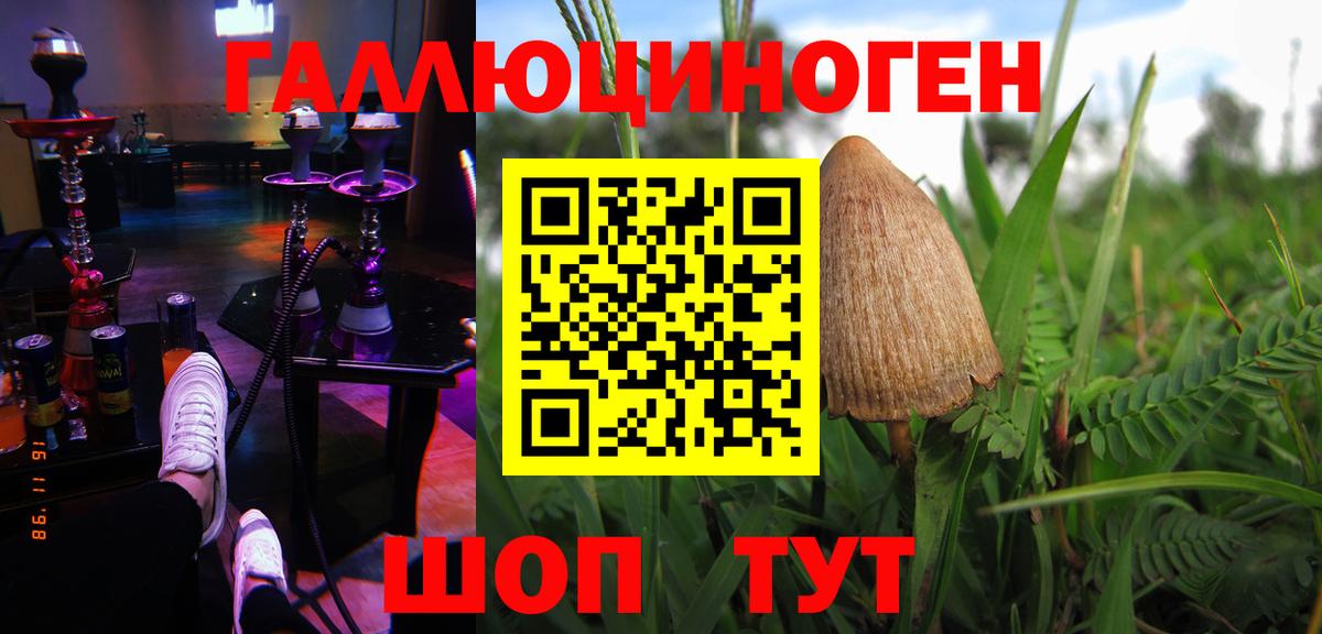 Галлюциногенные грибы MAGIC MUSHROOMS Котлас